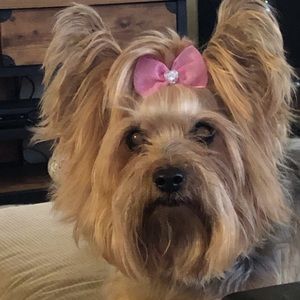 Meet your Posher, Elizabeth